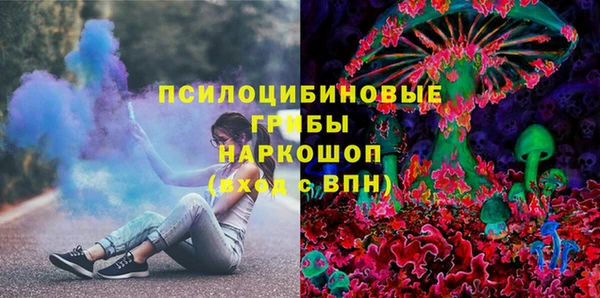 мдпв Ельня