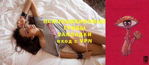 сатива Елизово