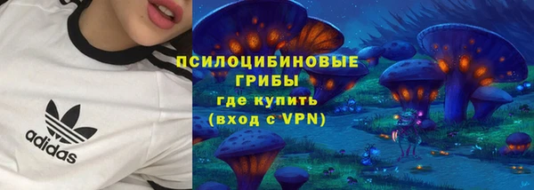 дурь Елабуга