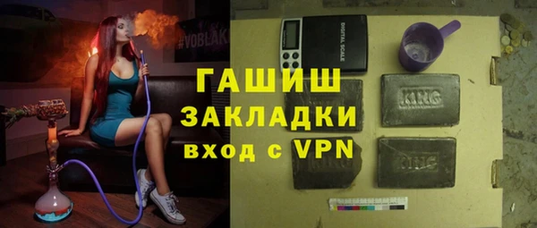 мдпв Ельня