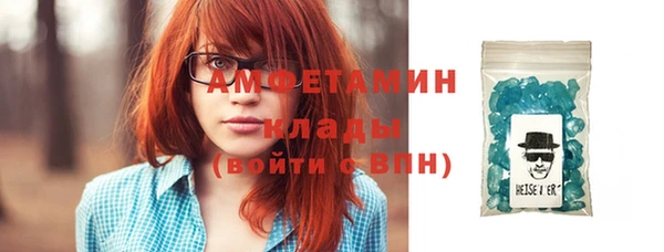 мдпв Ельня