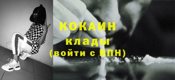 сатива Елизово