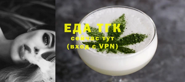 мдпв Ельня