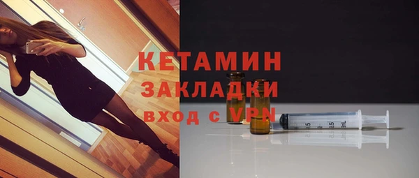 мдпв Ельня