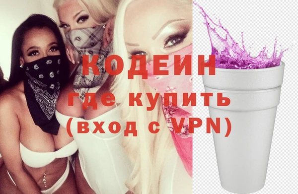 мдпв Ельня
