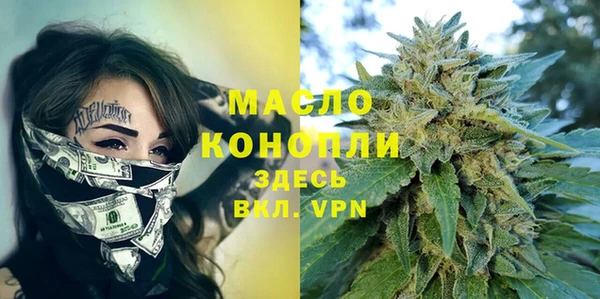 мдпв Ельня