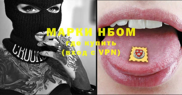 сатива Елизово