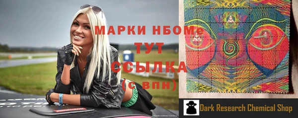 мдпв Ельня