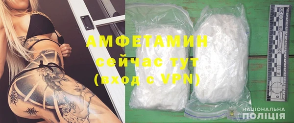 мдпв Ельня