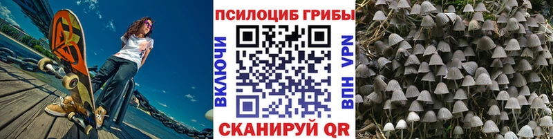 Галлюциногенные грибы GOLDEN TEACHER  Купить  Аткарск 